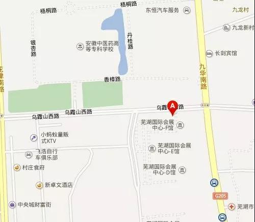 蕪湖國際會展中心(九華南路)