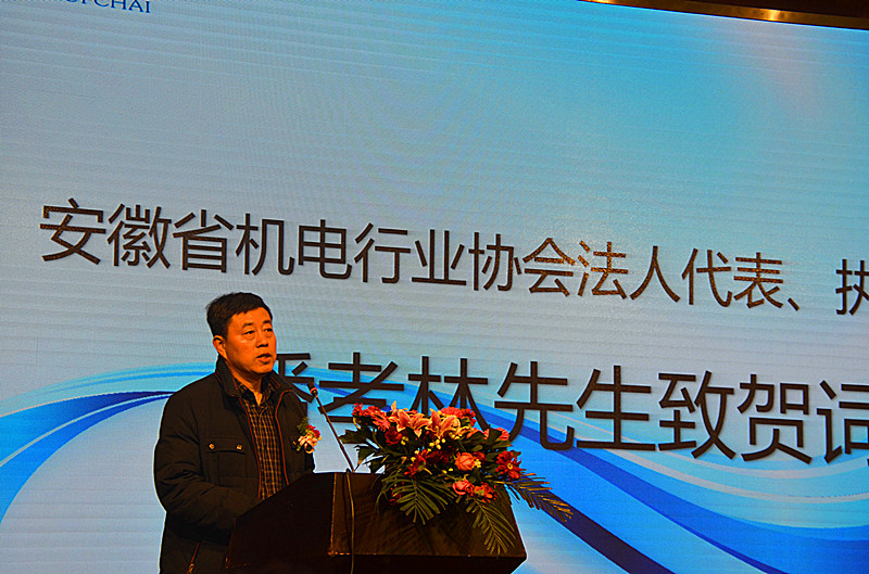安徽省機電行業(yè)協(xié)會執(zhí)行會長潘孝林先生致賀詞